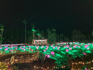 美らヤシパークオキナワ・東南植物楽園に投稿された画像（2022/11/9）