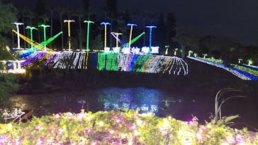 美らヤシパークオキナワ・東南植物楽園に投稿された画像（2022/11/9）