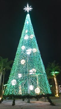 美らヤシパークオキナワ・東南植物楽園に投稿された画像（2022/11/9）