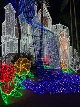 美らヤシパークオキナワ・東南植物楽園に投稿された画像（2022/11/9）