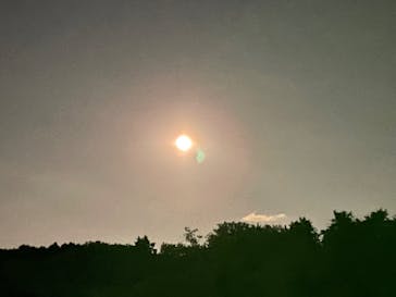 ムーミンバレーパークに投稿された画像（2022/11/9）