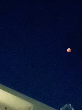 ムーミンバレーパークに投稿された画像（2022/11/9）