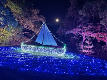 ムーミンバレーパークに投稿された画像（2022/11/9）