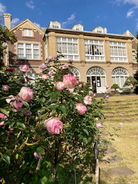 鳩山会館に投稿された画像（2022/11/9）