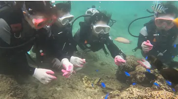 武藤潜水に投稿された画像（2022/11/9）