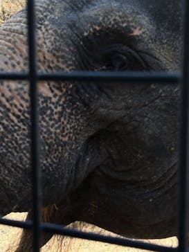 那須サファリパークに投稿された画像（2022/11/9）