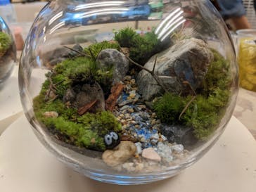 カルチャースクールいろはに投稿された画像（2022/11/9）