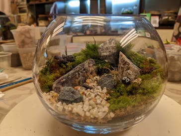 カルチャースクールいろはに投稿された画像（2022/11/9）