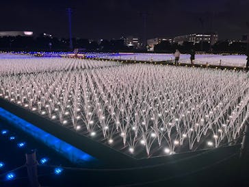 東京メガイルミに投稿された画像（2022/11/9）