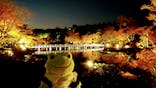 国営昭和記念公園 秋の夜散歩に投稿された画像（2022/11/9）