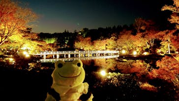 国営昭和記念公園 秋の夜散歩に投稿された画像（2022/11/9）