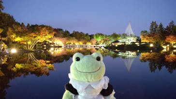 国営昭和記念公園 秋の夜散歩に投稿された画像（2022/11/9）