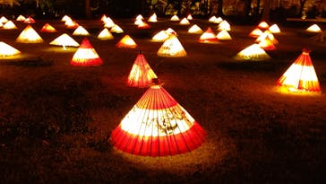 国営昭和記念公園 秋の夜散歩に投稿された画像（2022/11/9）