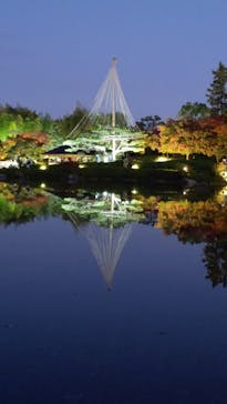 国営昭和記念公園 秋の夜散歩に投稿された画像（2022/11/9）