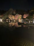 国営昭和記念公園 秋の夜散歩に投稿された画像（2022/11/9）