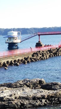 串本海中公園水族館に投稿された画像（2022/11/9）