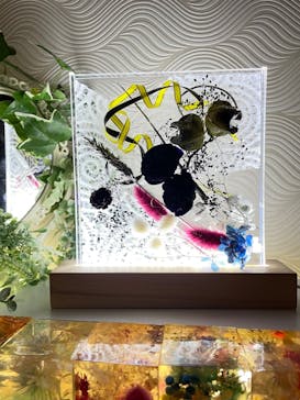 ずこうしつ〜sugamo〜に投稿された画像（2022/11/9）