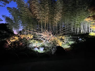 国営昭和記念公園 秋の夜散歩に投稿された画像（2022/11/9）