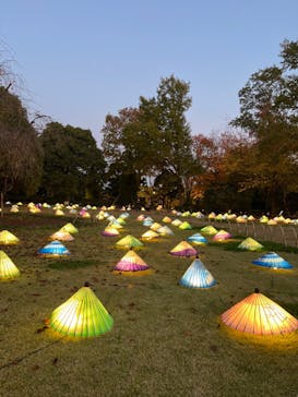 国営昭和記念公園 秋の夜散歩に投稿された画像（2022/11/9）