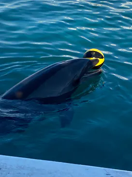 横浜・八景島シーパラダイスに投稿された画像（2022/11/9）
