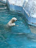 天王寺動物園に投稿された画像（2022/11/9）