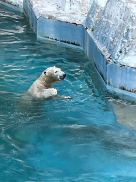 天王寺動物園に投稿された画像（2022/11/9）