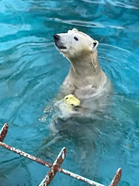 天王寺動物園に投稿された画像（2022/11/9）