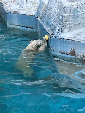 天王寺動物園に投稿された画像（2022/11/9）