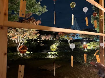 国営昭和記念公園 秋の夜散歩に投稿された画像（2022/11/9）