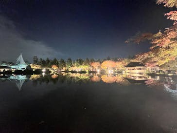 国営昭和記念公園 秋の夜散歩に投稿された画像（2022/11/9）