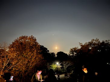 国営昭和記念公園 秋の夜散歩に投稿された画像（2022/11/9）