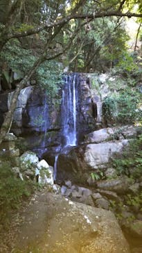 アソビュー株式会社　150881に投稿された画像（2022/11/9）