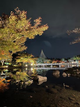 国営昭和記念公園 秋の夜散歩に投稿された画像（2022/11/9）