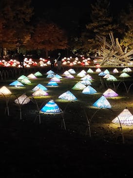 国営昭和記念公園 秋の夜散歩に投稿された画像（2022/11/9）