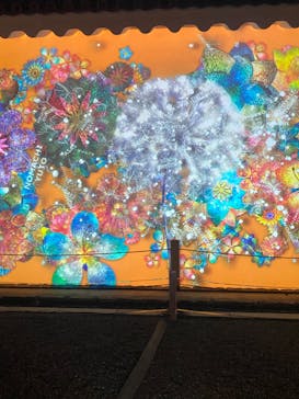 NAKED FLOWERS 2022 秋 世界遺産・二条城に投稿された画像（2022/11/9）