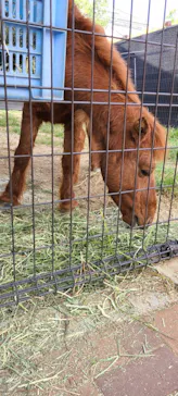天王寺動物園に投稿された画像（2022/11/9）