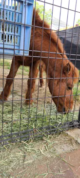 天王寺動物園に投稿された画像（2022/11/9）