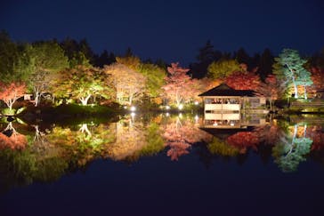 国営昭和記念公園 秋の夜散歩に投稿された画像（2022/11/9）