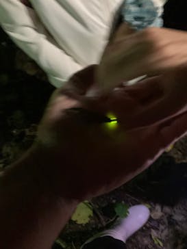 石垣島 ADVENTURE PiPi（イシガキジマアドベンチャーピピ）に投稿された画像（2022/11/9）