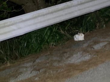 石垣島 ADVENTURE PiPi（イシガキジマアドベンチャーピピ）に投稿された画像（2022/11/9）