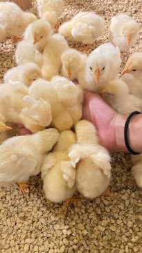 Moff animal cafe 小田原ダイナシティ店に投稿された画像（2022/11/9）