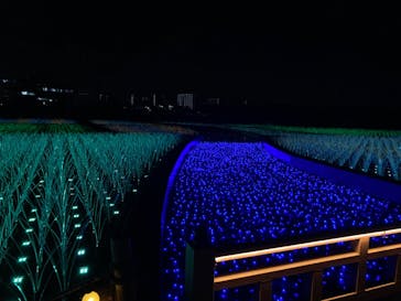 東京メガイルミに投稿された画像（2022/11/9）