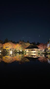 国営昭和記念公園 秋の夜散歩に投稿された画像（2022/11/9）