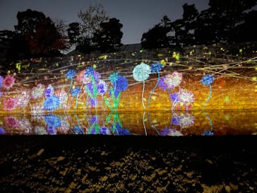 NAKED FLOWERS 2022 秋 世界遺産・二条城に投稿された画像（2022/11/9）