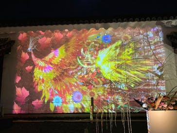 NAKED FLOWERS 2022 秋 世界遺産・二条城に投稿された画像（2022/11/9）