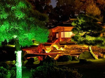 NAKED FLOWERS 2022 秋 世界遺産・二条城に投稿された画像（2022/11/9）