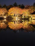 国営昭和記念公園 秋の夜散歩に投稿された画像（2022/11/9）