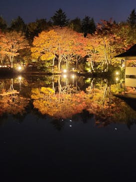 国営昭和記念公園 秋の夜散歩に投稿された画像（2022/11/9）