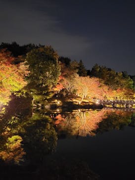 国営昭和記念公園 秋の夜散歩に投稿された画像（2022/11/9）