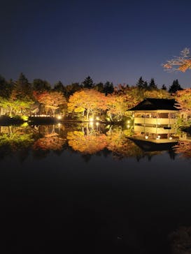 国営昭和記念公園 秋の夜散歩に投稿された画像（2022/11/9）